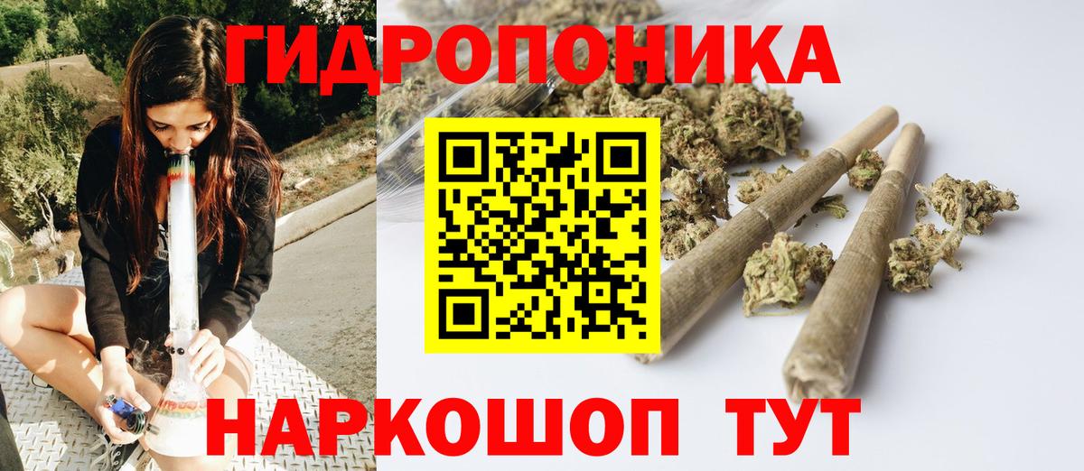 Бошки марихуана план Великий Устюг